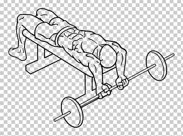 Bench Press Fly Dumbbell Exercise PNG, Clipart, Angle, Area, Arm, Art, Artwork Free PNG Download