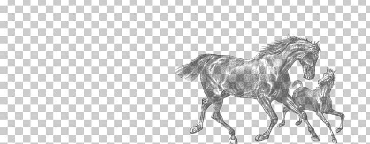 Foal Mare Clydesdale Horse American Quarter Horse PNG, Clipart, Animal Figure, Artwork, Black, Black And White, Colt Free PNG Download