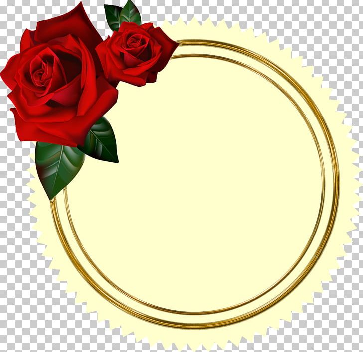 Rose Valentine's Day Photography PNG, Clipart, Body Jewelry, Cut Flowers, Designer, Floral Design, Floristry Free PNG Download