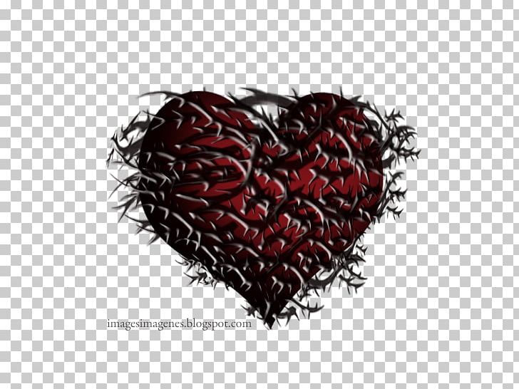 Tiene Espinas El Rosal Jenny And The Mexicats Heart Thorns PNG, Clipart, Berry, Color, Download, Drawing, Game Free PNG Download