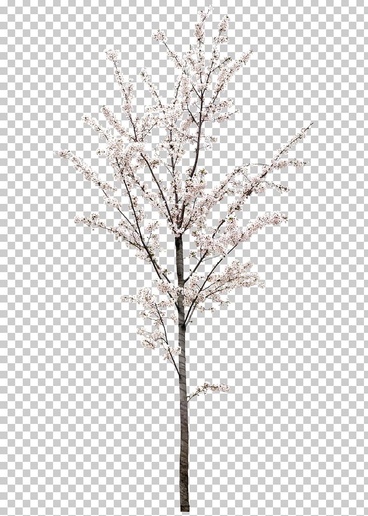 Fairy Tale Computer File PNG, Clipart, Adobe Illustrator, Beautiful, Blossom, Branch, Cherry Free PNG Download