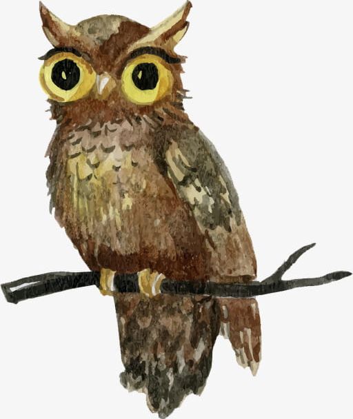 Hand-painted Watercolor Owl Standing Shu Chashang PNG, Clipart, Animals, Chashang Clipart, Chashang Clipart, Hand Painted, Hand Painted Animals Free PNG Download