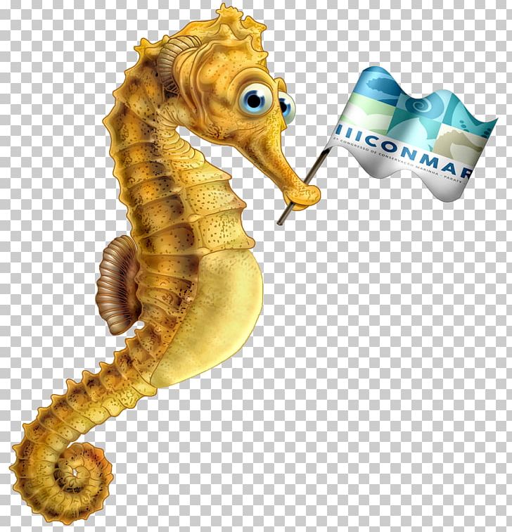 Seahorse Book Pamphlet April PNG, Clipart, 2018, Animals, April, Book, Fish Free PNG Download