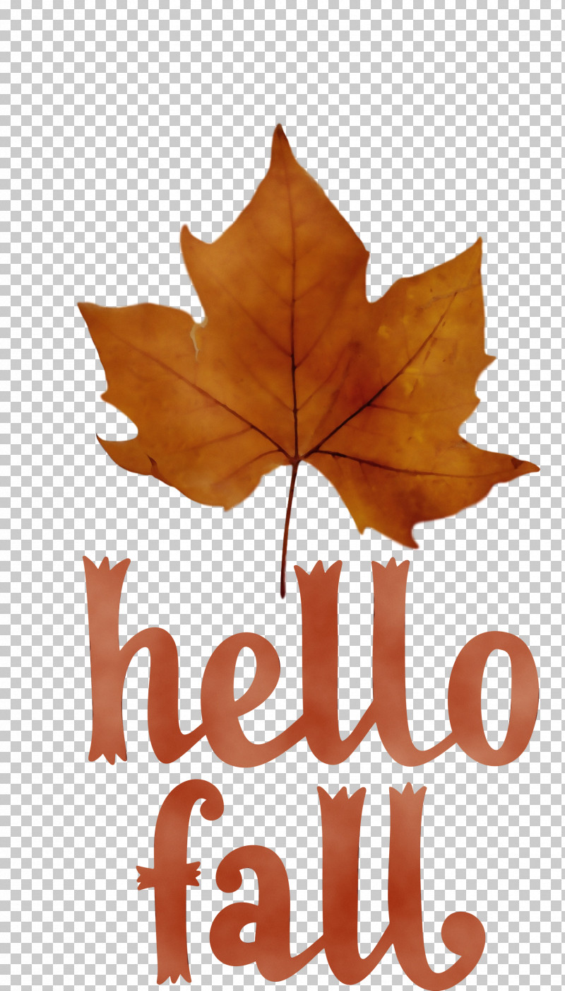 Leaf Maple Leaf / M Font Tree Meter PNG, Clipart, Autumn, Biology, Fall, Hello Fall, Leaf Free PNG Download