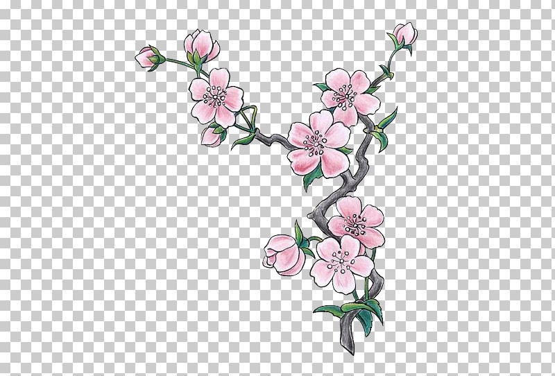 Cherry Blossom PNG, Clipart, Blossom, Branch, Cherry Blossom, Flower, Petal Free PNG Download