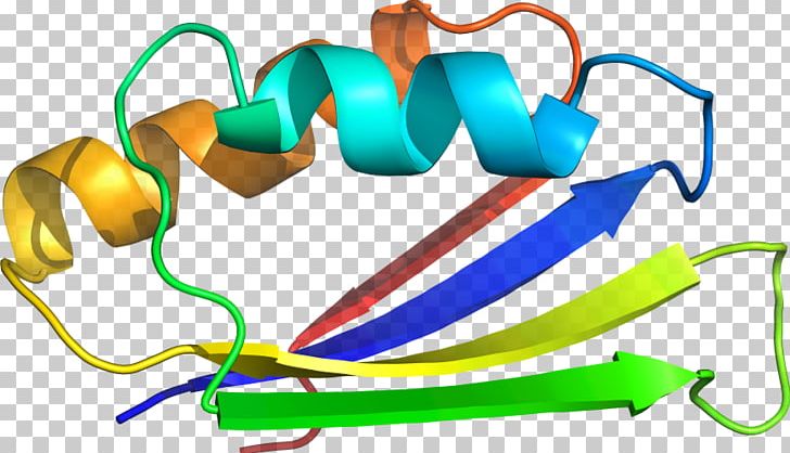Line PNG, Clipart, Acetolactate Synthase, Art, Artwork, Line, Organism Free PNG Download