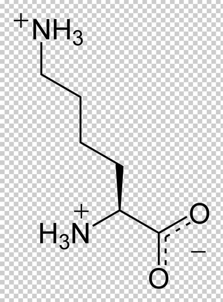 Nucleic Acid Monomer Amino Acid Nucleotide PNG, Clipart, Aaa, Acid, Amine, Amino Acid, Angle Free PNG Download