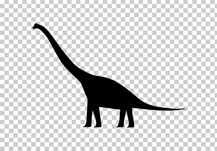 Brachiosaurus Tyrannosaurus Dinosaur Size Brontosaurus PNG, Clipart, Black And White, Brachiosaurus, Brontosaurus, Carnivoran, Cat Free PNG Download
