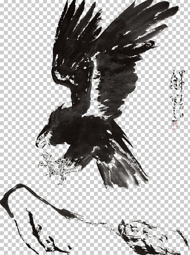 Eagle Ink Hawk PNG, Clipart, Animals, Bird, Christmas Decoration, Decor, Decorative Free PNG Download