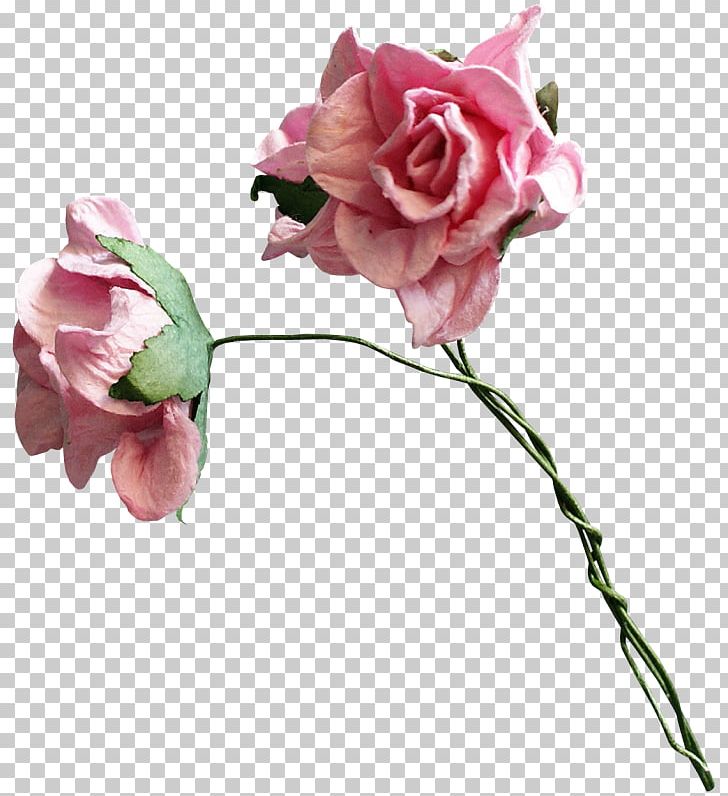 Garden Roses Cabbage Rose Cut Flowers Petal PNG, Clipart, Artificial Flower, Blue Rose, Bud, Cut Flowers, Floral Design Free PNG Download