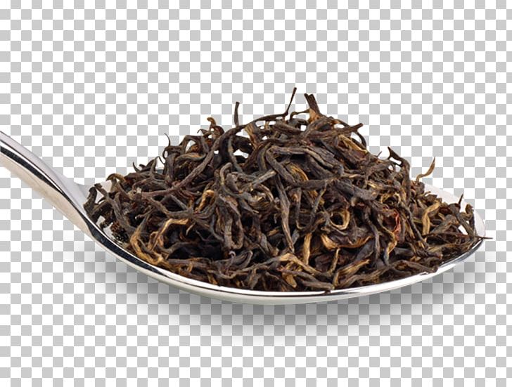 Lapsang Souchong Nilgiri Tea White Tea Earl Grey Tea PNG, Clipart, Earl Grey Tea, Lapsang Souchong, Nilgiri Tea Free PNG Download