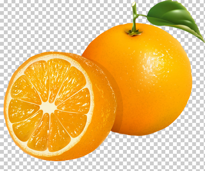 Orange PNG, Clipart, Citrus, Food, Fruit, Mandarin Orange, Natural Foods Free PNG Download