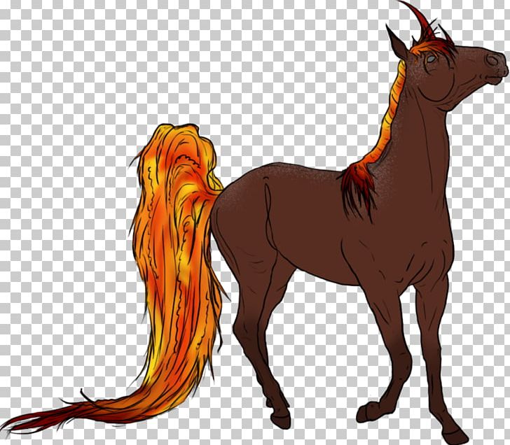 Mustang Foal Mane Stallion Pony PNG, Clipart, Camel, Carnivoran, Chrysaora Quinquecirrha, Colt, Dog Free PNG Download