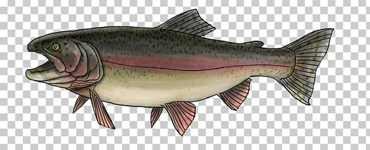 Salmon Rainbow Trout Sea Trout Oily Fish PNG, Clipart, Animal Figure, Bony Fish, Brown Trout, Cod, Fauna Free PNG Download