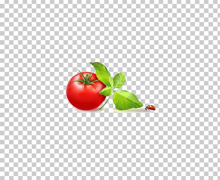 Tomato Le Relais Saint Clair Vegetable PNG, Clipart, Adobe Illustrator, Cherry, Cherry Tomato, Eggplant, Encapsulated Postscript Free PNG Download