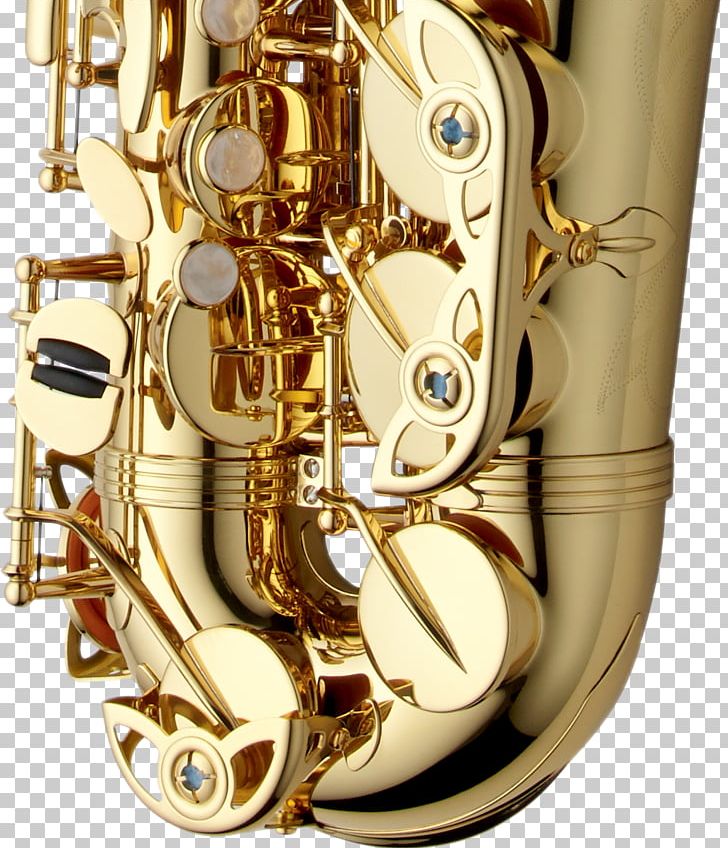 Alto Saxophone Yanagisawa Wind Instruments Soprano Saxophone Musical Instruments PNG, Clipart, Alto Saxophone, Baritone Saxophone, Brass, Brass Instrument, Euphonium Free PNG Download