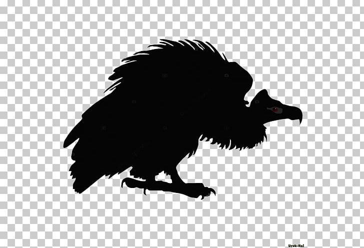 American Crow Silhouette Bird PNG, Clipart, American Crow, Animals, Beak, Bird, Bird Of Prey Free PNG Download