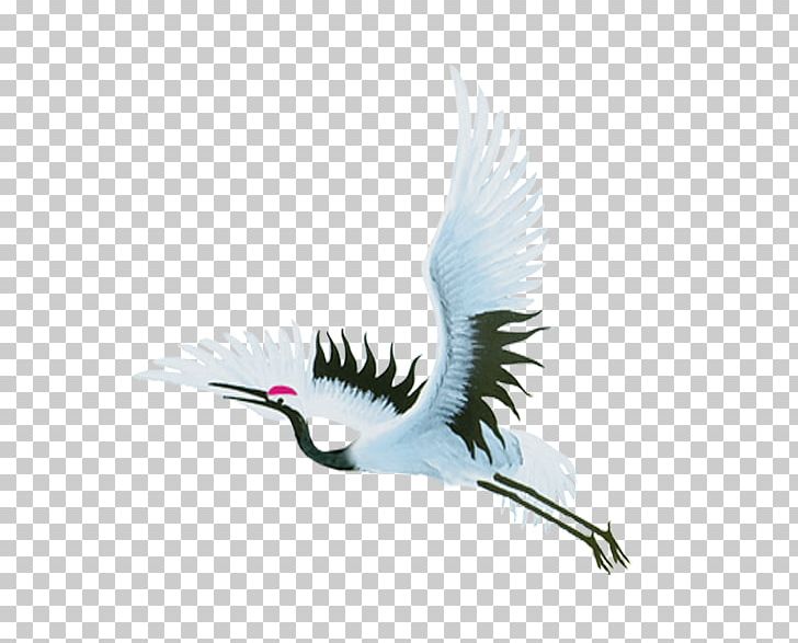 Bird Flight Crane Bird Flight PNG, Clipart, Beak, Bird, Birds, Birds And Insects, Chinese Border Free PNG Download