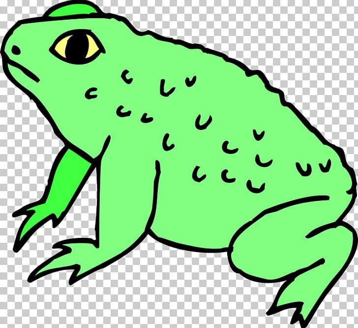 Frog Toad PNG, Clipart, Amphibian, Animal Figure, Animals, Artwork, Blog Free PNG Download