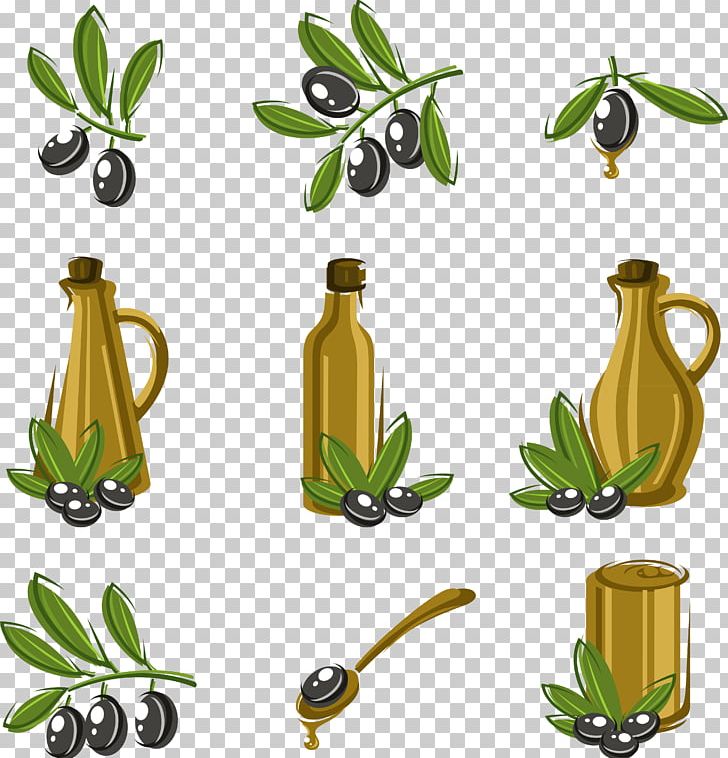 Olive Oil Euclidean PNG, Clipart, Chinese Olive Tree, Conversion, Cooking Oil, Encapsulated Postscript, Flower Free PNG Download