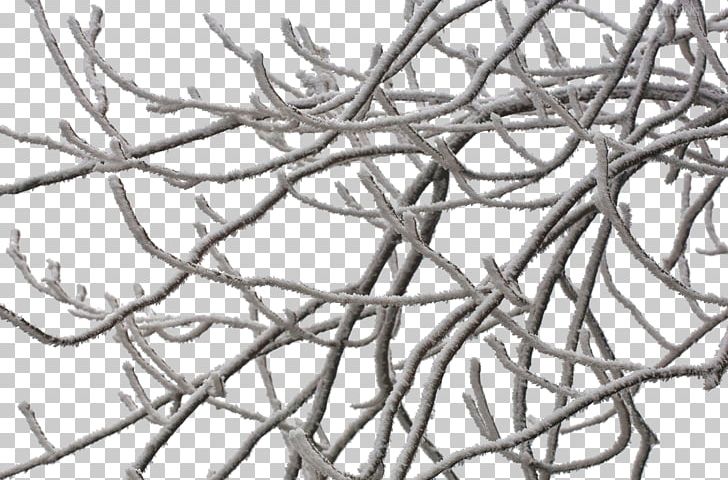 Elsa Twig Ice PNG, Clipart, Branch, Branches, Cartoon, Creative, Creative Winter Free PNG Download