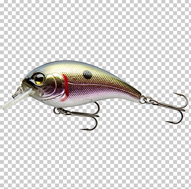 Plug Northern Pike Spoon Lure European Perch Fishing Baits & Lures PNG, Clipart, Angling, Bait, Bony Fish, Brown Trout, Common Roach Free PNG Download