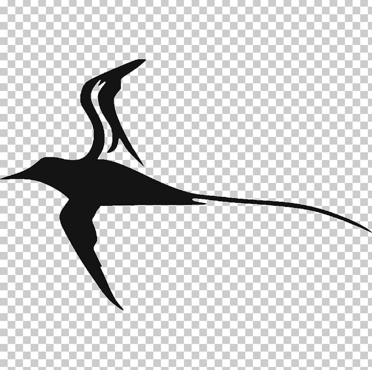 Sticker Decal Tropicbirds Logo PNG, Clipart, Beak, Bird, Black, Black And White, Decal Free PNG Download