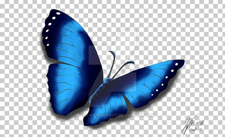 Cobalt Blue Moth PNG, Clipart, Blue, Butterfly, Butterfly Effect, Cobalt, Cobalt Blue Free PNG Download