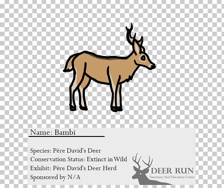 Elk Reindeer Cattle Antelope PNG, Clipart, Antelope, Antler, Cartoon, Cattle, Cattle Like Mammal Free PNG Download