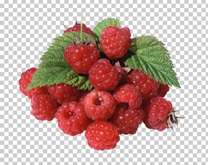 Plant Shop "Ruza Garden" Portable Network Graphics GIF Raspberry PNG, Clipart, 2018 Audi R8, Cranberry, Food, Fruit, Frutti Di Bosco Free PNG Download