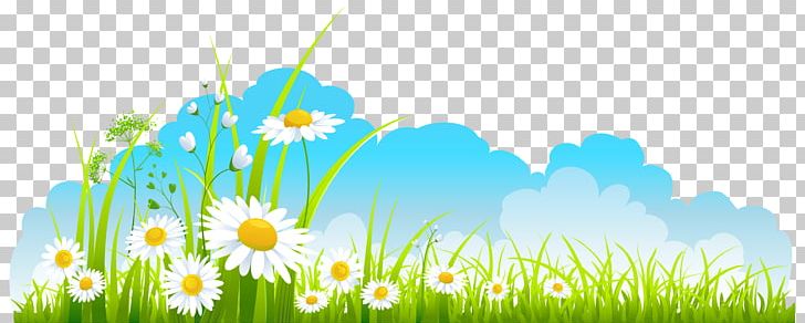 Spring PNG, Clipart, Blog, Clip Art, Commodity, Computer Wallpaper, Daisy Free PNG Download