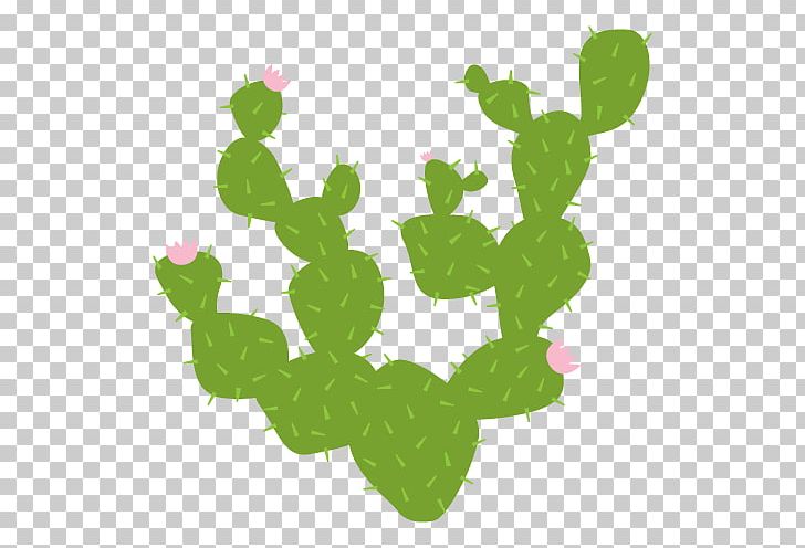 Wall Decal Sticker Cactaceae PNG, Clipart, Cactaceae, Cactus, Cactus Flower, Decal, Desert Free PNG Download