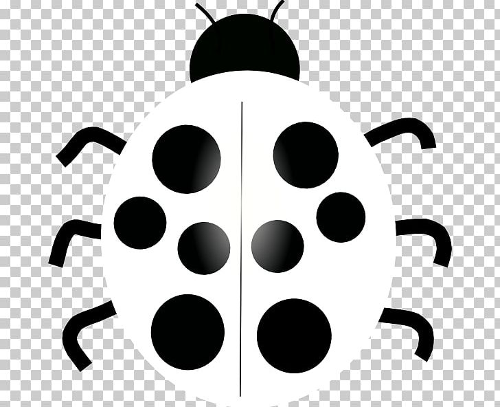 Ladybird Drawing PNG, Clipart, Animation, Black, Black And White, Circle, Clip Art Free PNG Download