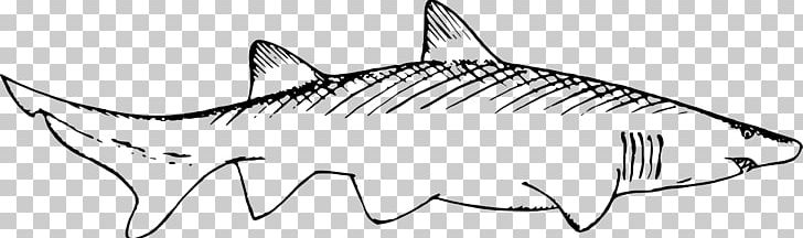 Shark Remora Black And White Marine Mammal PNG, Clipart, Animal, Animals, Artwork, Black And White, Clip Art Free PNG Download