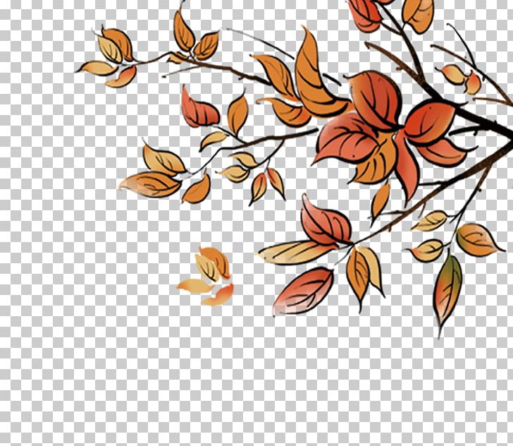 Autumn Leaf PNG, Clipart, Area, Autumn, Autumn Leaves, Branch, Encapsulated Postscript Free PNG Download