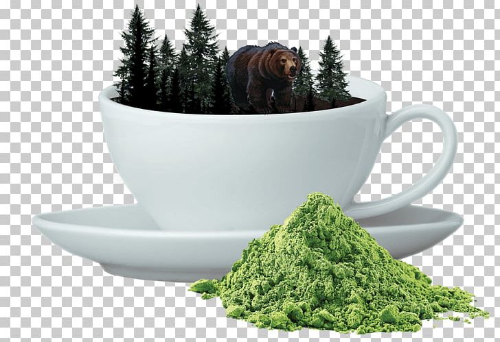 Earl Grey Tea Oolong Matcha Camellia Sinensis PNG, Clipart, Camellia Sinensis, Coffee, Coffee Cup, Cup, Earl Grey Tea Free PNG Download