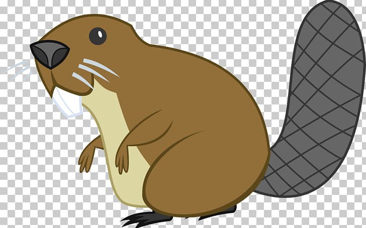 Rodent Beaver Mouse Rat Hare PNG, Clipart, Animal, Animals, Beak, Beaver, Carnivora Free PNG Download