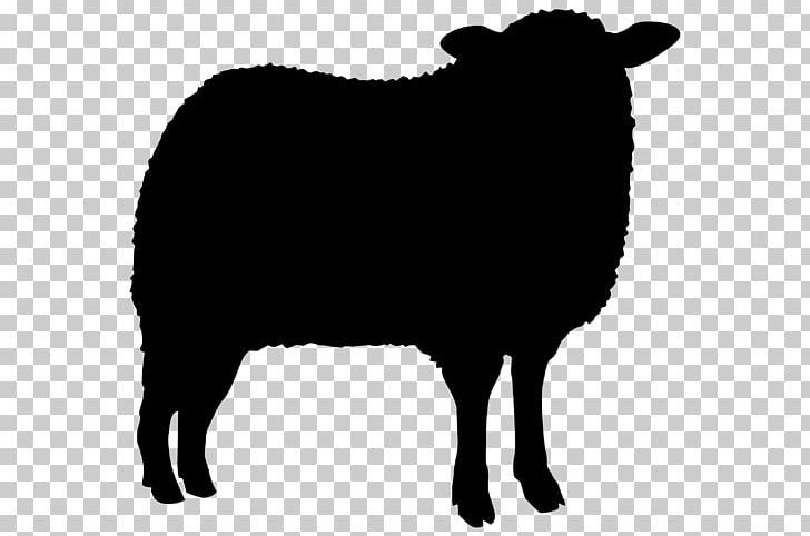 Sheep Agneau Cat PNG, Clipart, Agneau, Animal, Animals, Black, Black And White Free PNG Download
