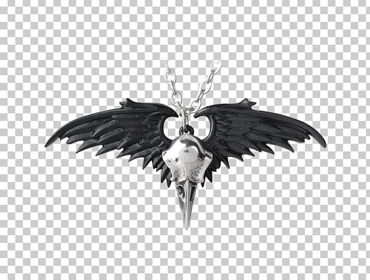 Charms & Pendants The Raven Necklace Jewellery Common Raven PNG, Clipart, Alchemy, Alchemy Gothic, Body Jewelry, Chain, Charms Pendants Free PNG Download