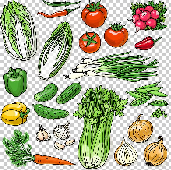 Organic Food Cucurbita Illustration PNG, Clipart, Christmas Decoration, Commodity, Decor, Decorative, Decorative Free PNG Download