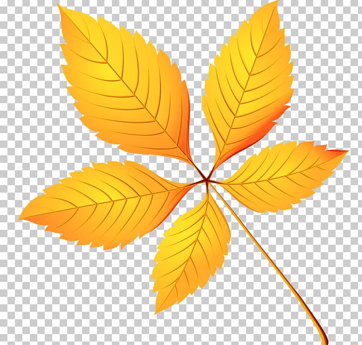 Leaf Autumn Leaves PNG, Clipart, Abscission, Autumn, Autumn Leaf Color, Autumn Leaves, Clip Art Free PNG Download