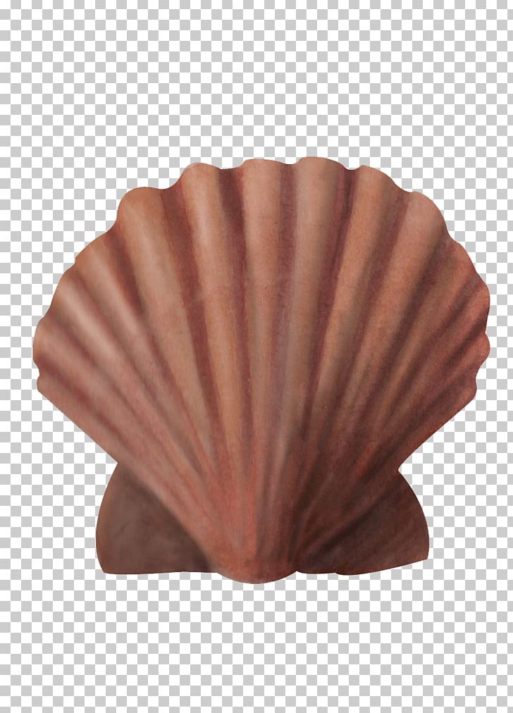 Dog Cockle Great Scallop Seashell Fishing Area 0 PNG, Clipart, 20 March, 2018, Dog Cockle, English Channel, Facade Free PNG Download