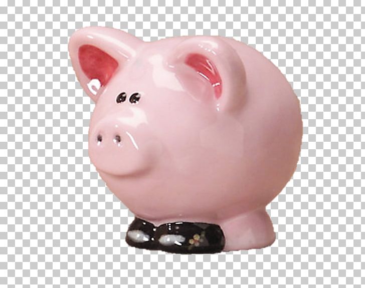 Piggy Bank Snout Piggy Fun Collectable PNG, Clipart, 3 D Secure, Animals, Bank, Bisque, Centimeter Free PNG Download