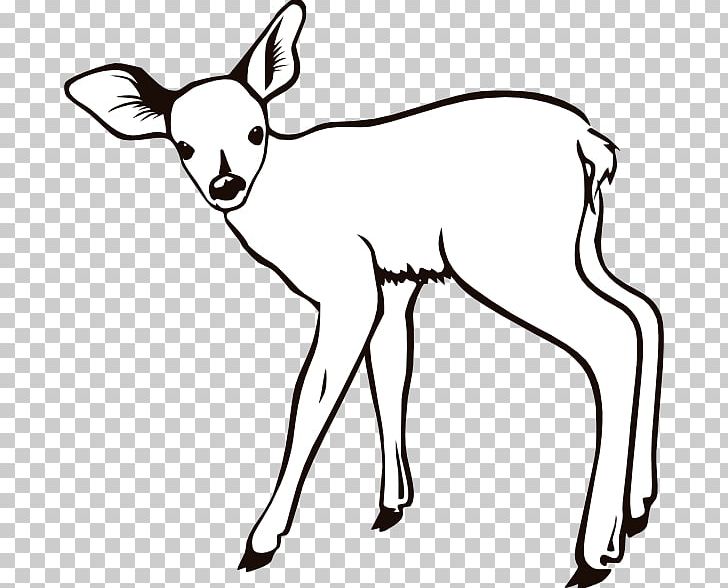 Reindeer White-tailed Deer Coloring Book PNG, Clipart, Animals, Antler, Artwork, Black And White, Carnivoran Free PNG Download