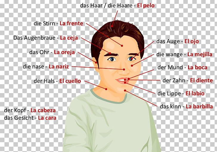 Ear Face Chin Cheek Jaw PNG, Clipart, Cheek, Child, Chin, Communication, Conversation Free PNG Download