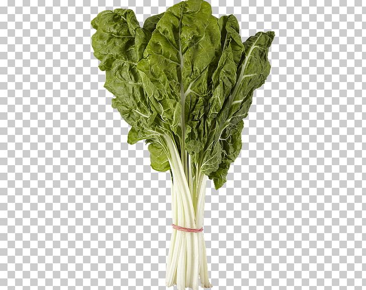 Romaine Lettuce Chard Spinach Cruciferous Vegetables PNG, Clipart, Cabbage, Chard, Choy Sum, Collard Greens, Cruciferous Vegetables Free PNG Download