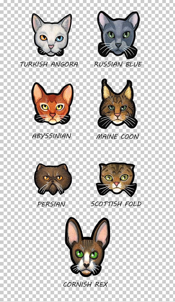 Whiskers Kitten Wildcat Snout PNG, Clipart, Animals, Carnivoran, Cartoon, Cat, Cat Like Mammal Free PNG Download