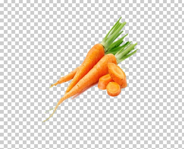 Baby Carrot Vegetable Vegetarian Cuisine PNG, Clipart, Baby Carrot, Bunch Of Carrots, Carrot, Carrot Cartoon, Carrot Creative Free PNG Download