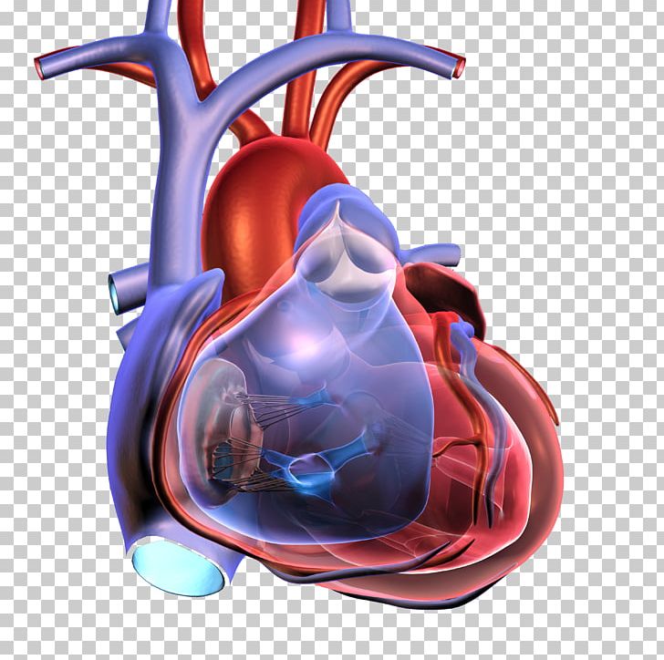 Cardiac Arrest Heart Health Cardiopulmonary Resuscitation Myocardial Infarction PNG, Clipart, Cardiac Arrest, Cardiovascular Disease, Chest Pain, Cleveland Clinic, Cobalt Blue Free PNG Download
