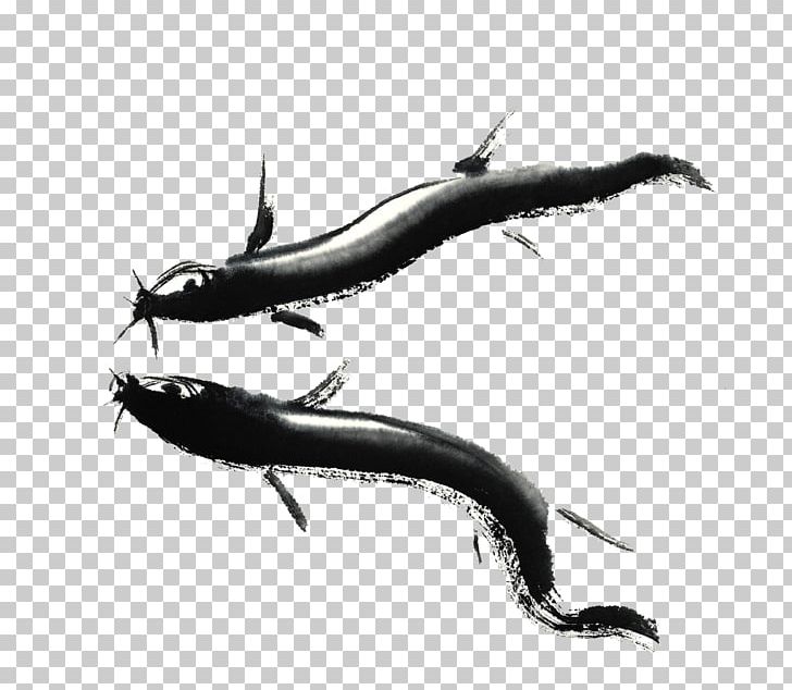 Misgurnus Mizolepis Ink Wash Painting Fish Chueo-tang PNG, Clipart, Animals, Aquarium Fish, Black And White, Blog, Chinese Free PNG Download